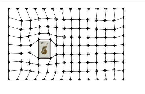 Datastructure image 36