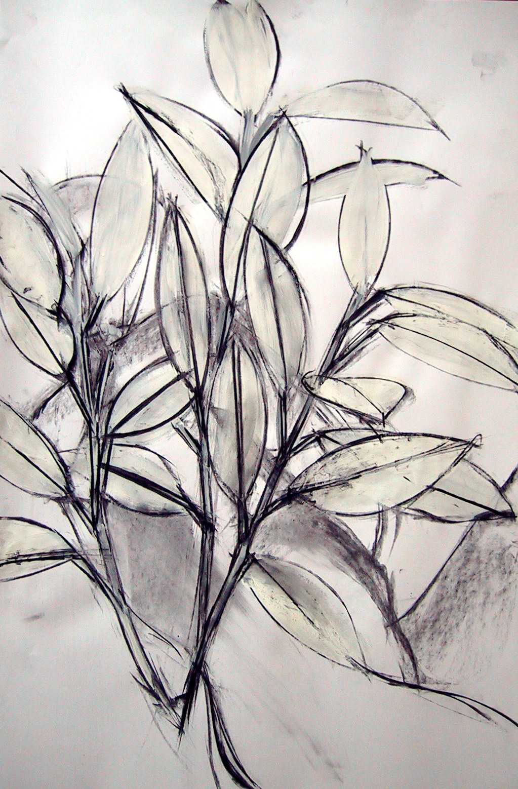 Figure Drawings image 3