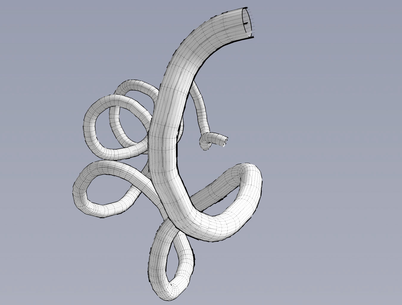 NKS — Rule 30 image 4