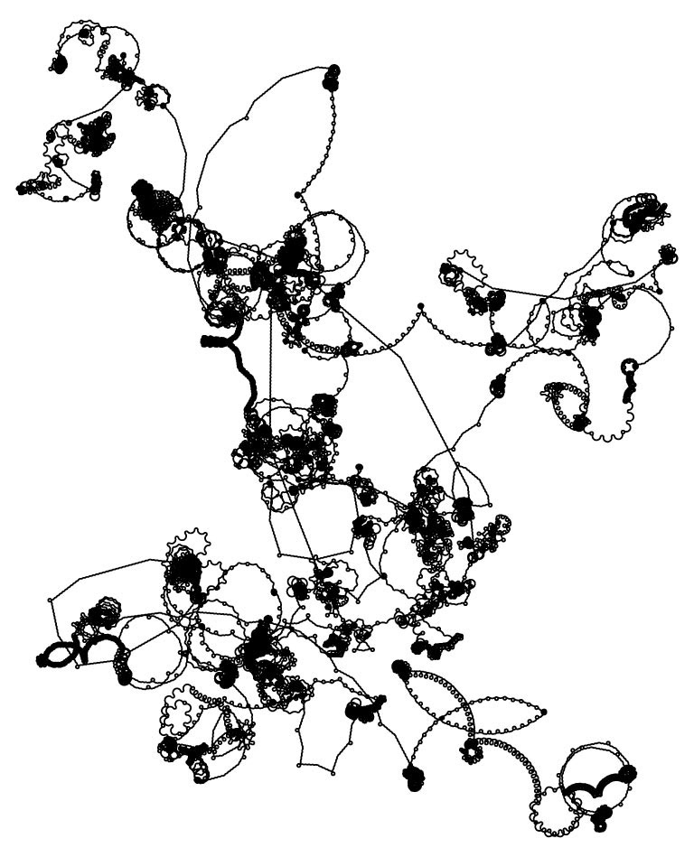 NKS — Rule 30 image 195