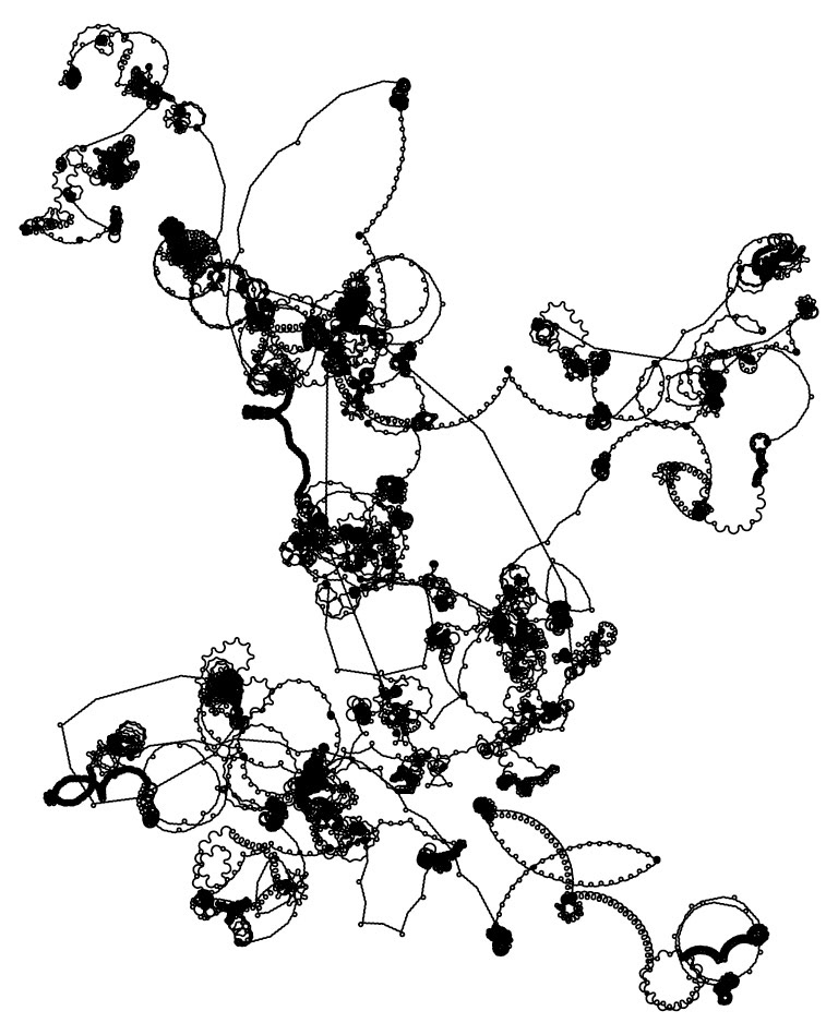 NKS — Rule 30 image 36