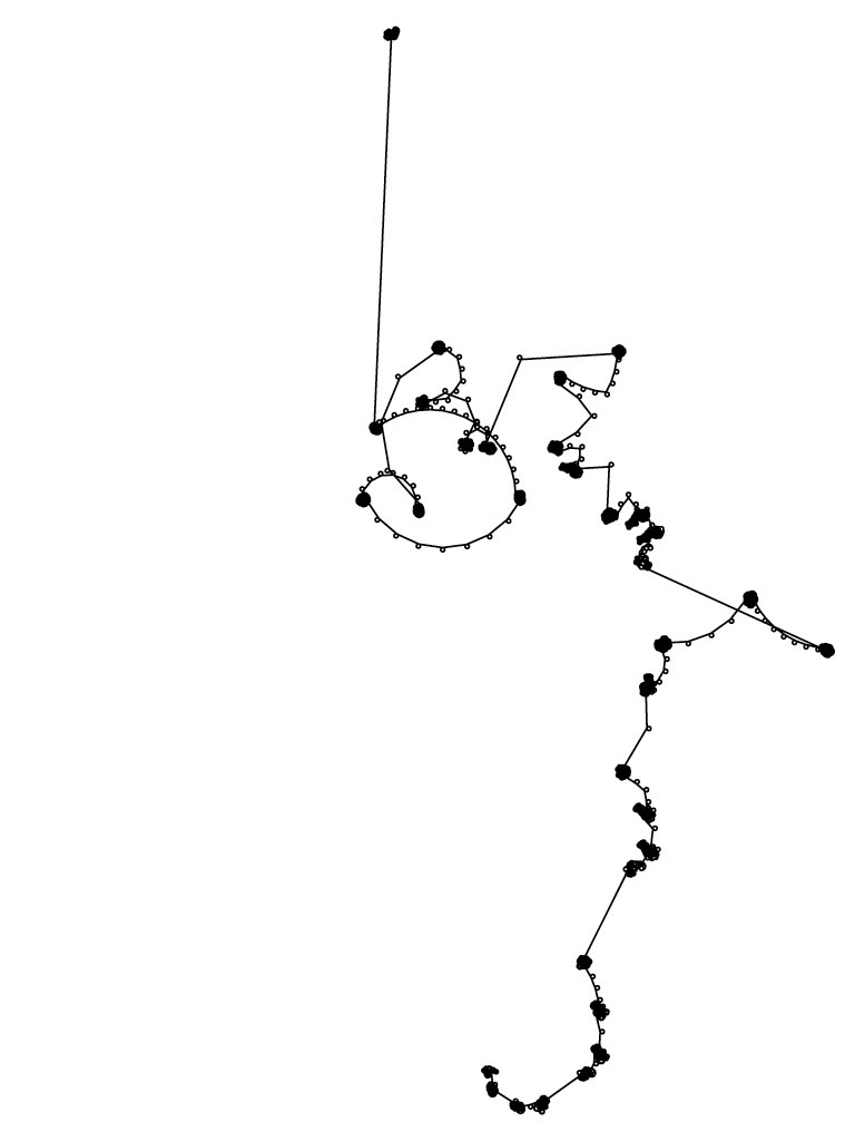 NKS — Rule 30 image 68
