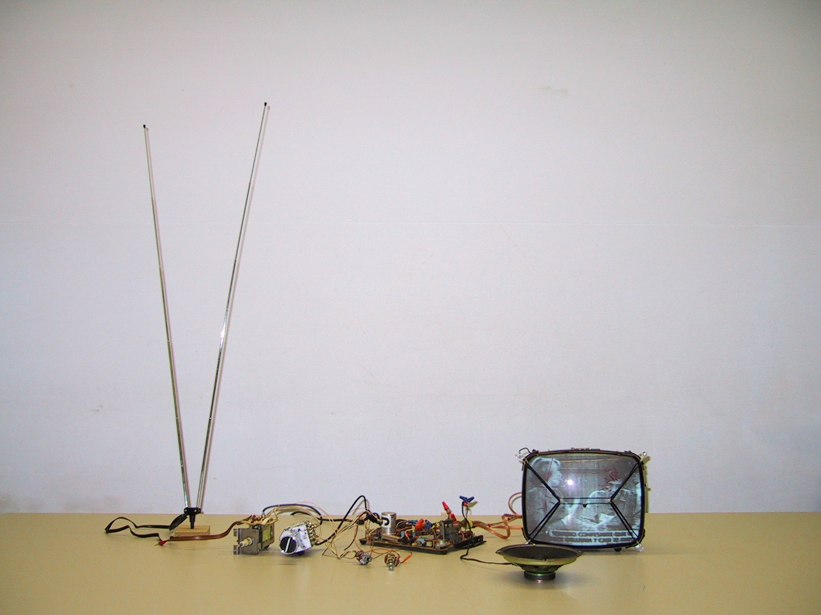 TV Écorché image 4